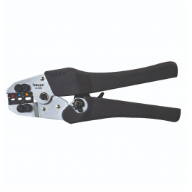 211690 CLESTE SERTIZAT